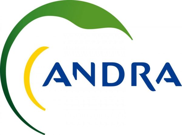 ANDRASAN-1024x758